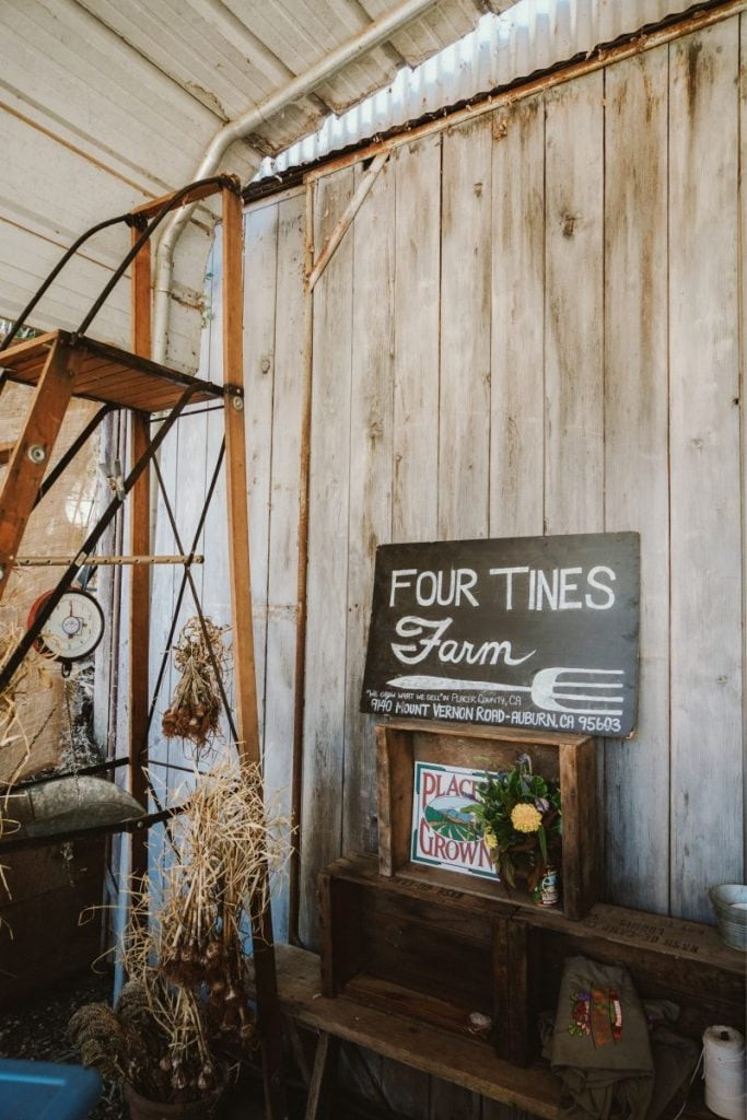 Shopping experiences at Martin Mattox in Auburn CA