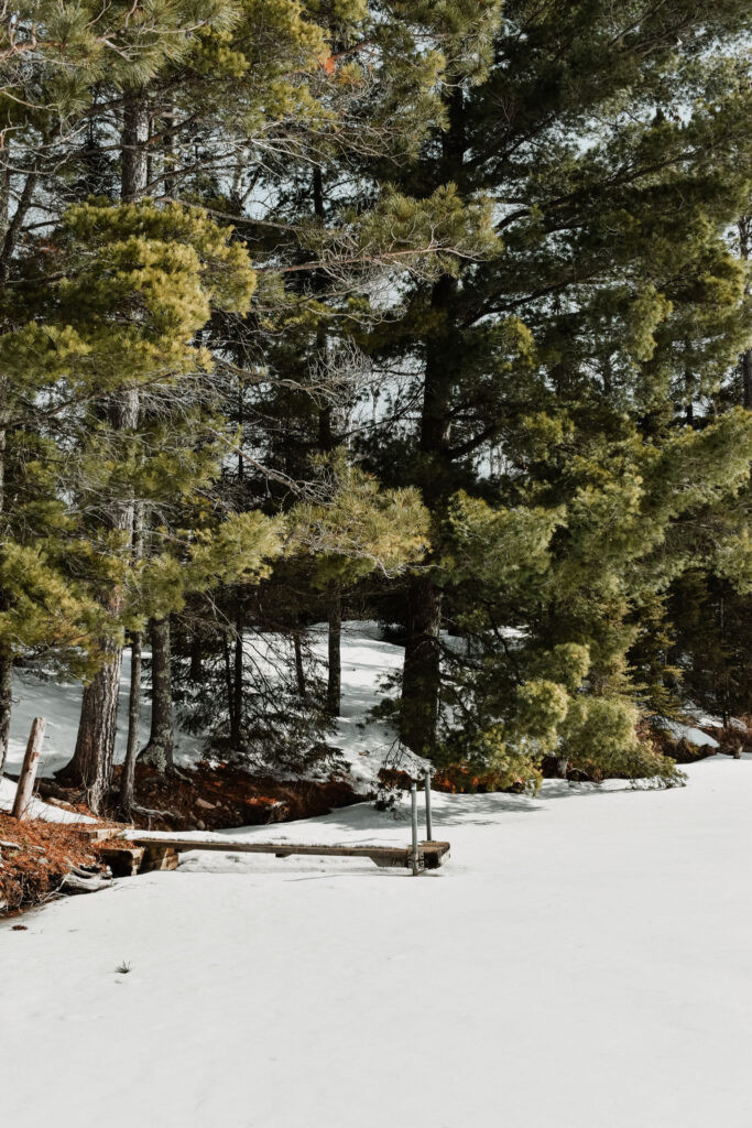 Hiking trail at Bear Head Lake State Park, Ely Minnesota