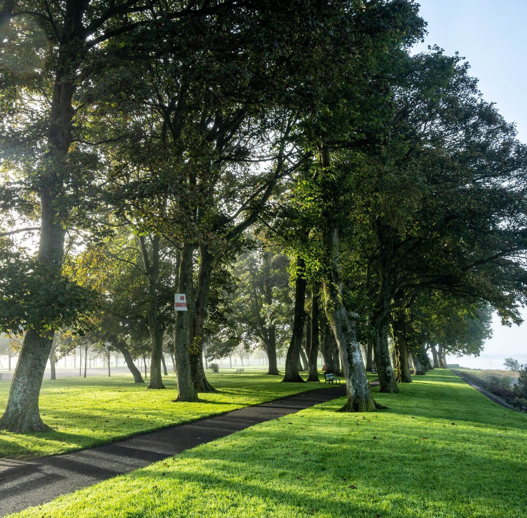Burgess Park Athlone, offering green spaces and recreational activities for tourists and locals alike.