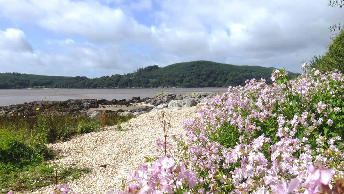 Coastal walk from Rockcliffe to Kippford