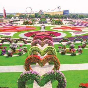 Dubai Miracle Garden during daytime