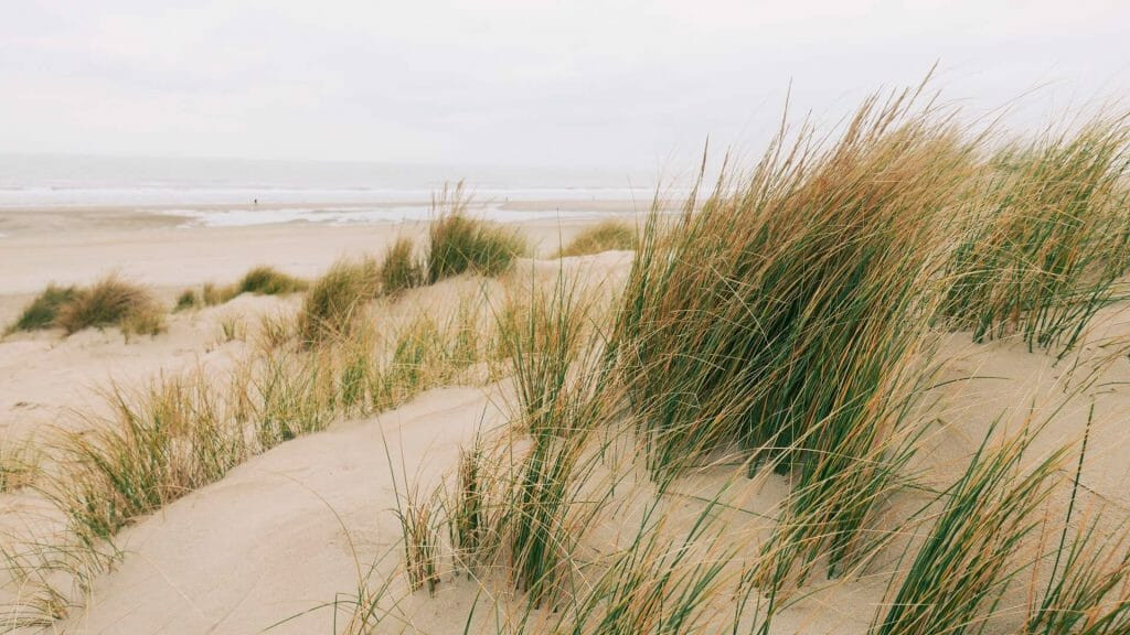 De Haan's wide sandy beach perfect for family activities