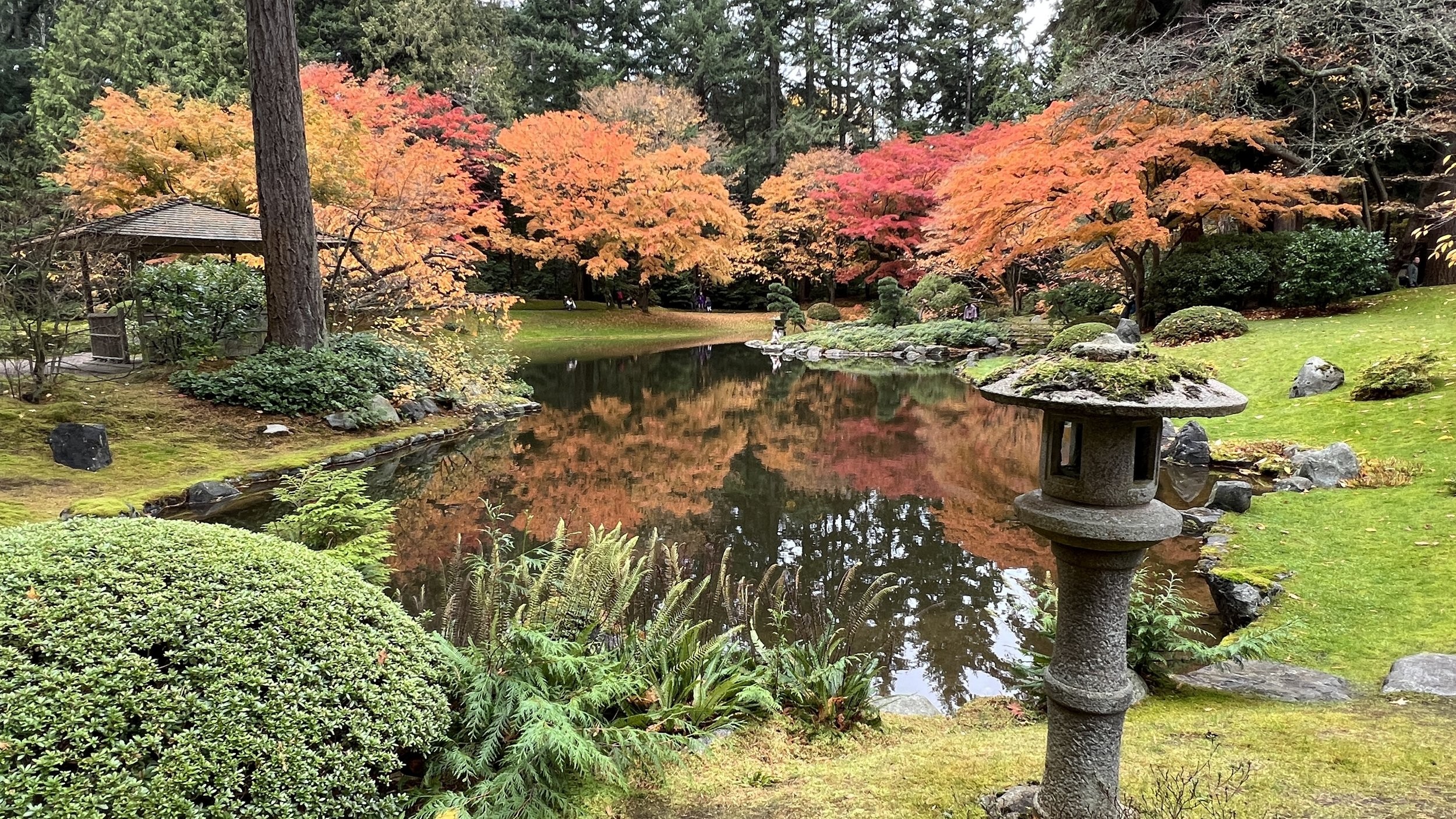 A Japanese garden in autumn with a pond reflecting colorful trees, a stone lantern, and a wooden gazebo in the background.