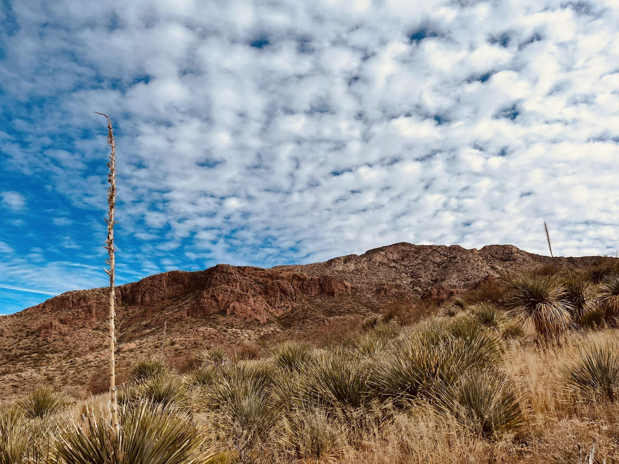 Hiking trail in Franklin Mountains State Park, El Paso