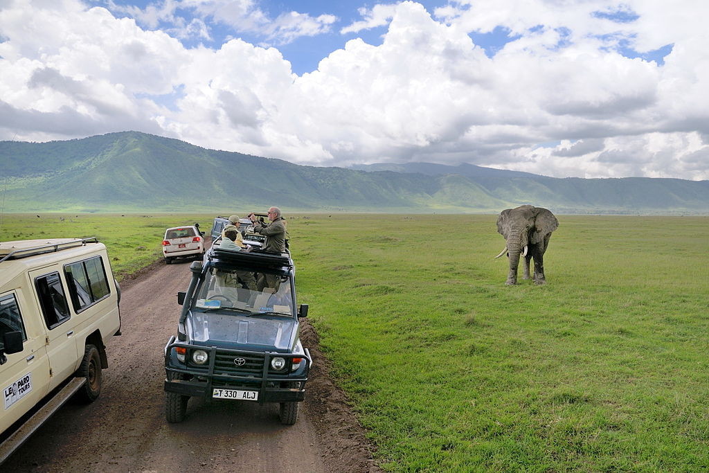 Tourists enjoy a game drive in the Masai Mara, Kenya. The image captures the essence of wildlife tourism in Africa, where visitors observe animals in their natural habitat.