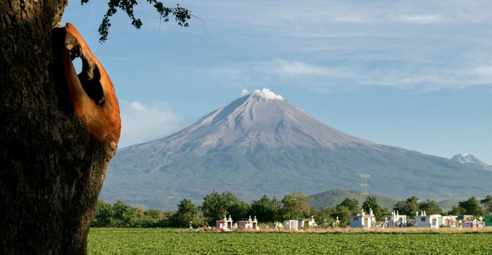Crops flourish in the rich volcanic soil of the Popocatepetl volcano, south of Atlixco, Mexico.