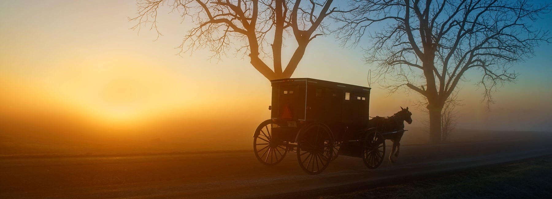 Indiana Amish Buggy at Dawn