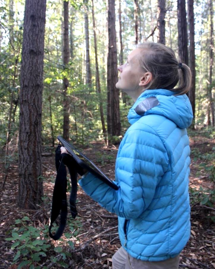 Emily Francis in a redwood forest