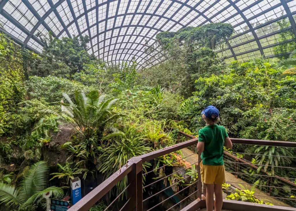 Entopia, Penang