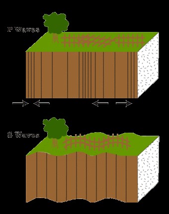 P-Waves and S-Waves in Crust
