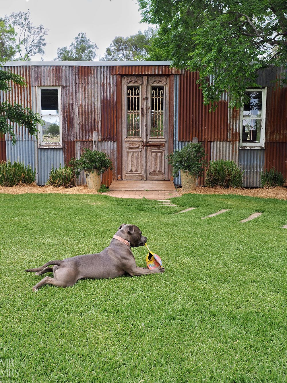 Essential guide to Mudgee NSW - Burnbrae Wines