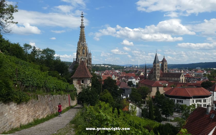 The hike through the vineyards above Esslingen is a delightful experience.