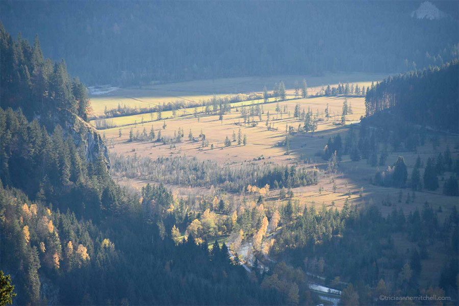 An aerial view of the Ettaler Weidmoos nature preserve.
