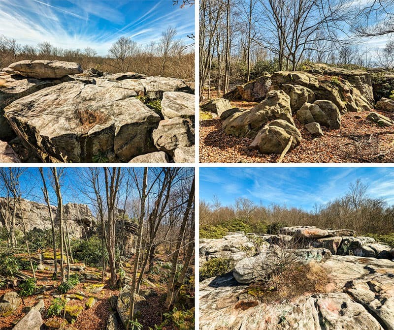 Exploring Wolf Rocks along the John P Saylor Trail in the Gallitzin State Forest.