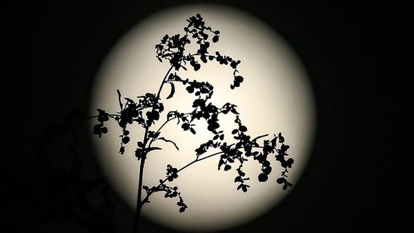 Image of a full moon, highlighting its glow and surface details