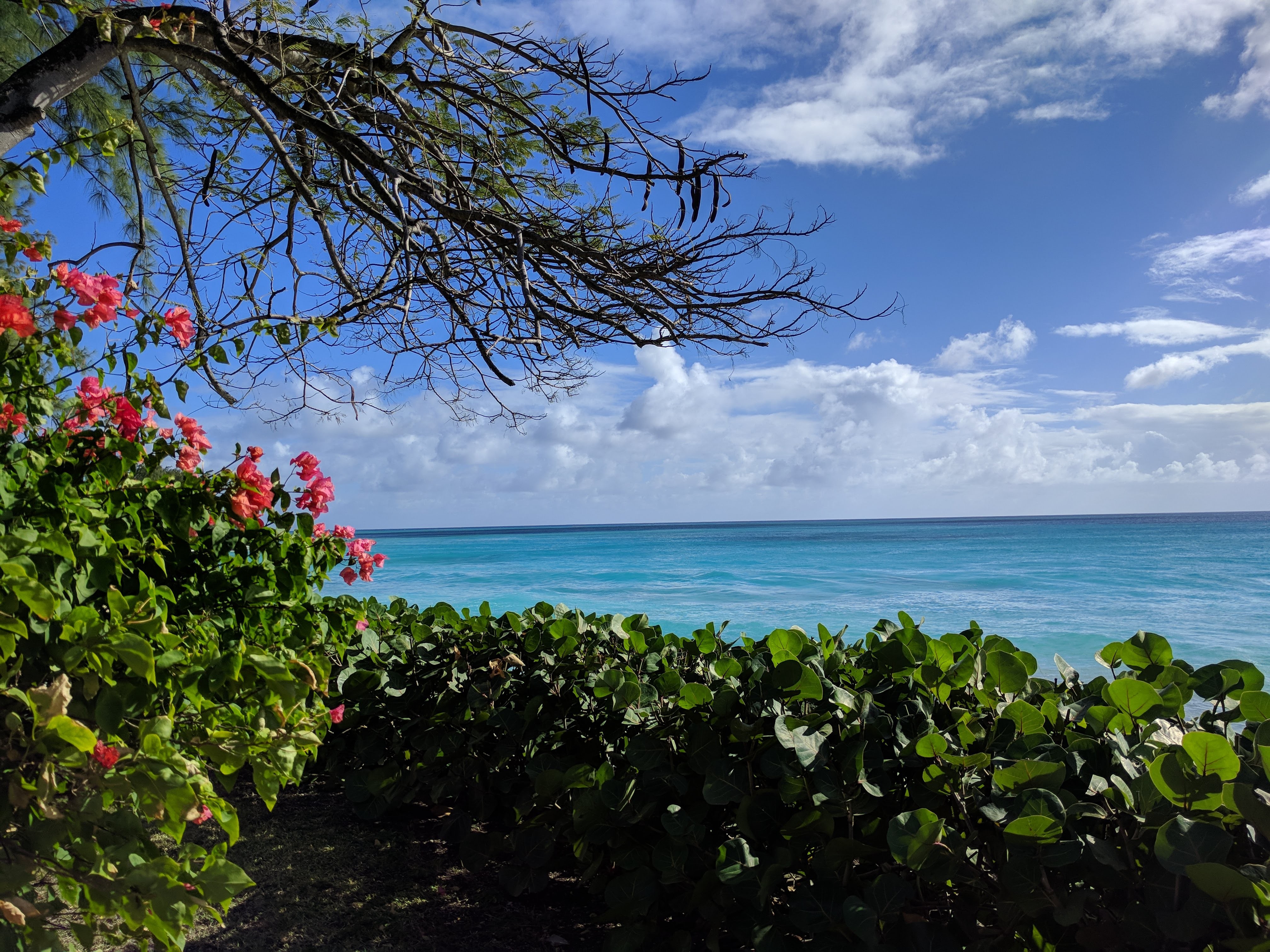 View of the ocean by Enterprise Beach