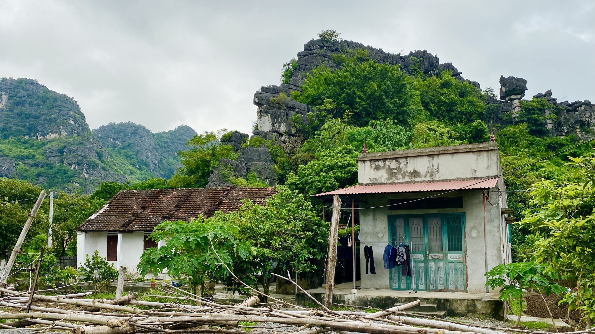 Local cuisine of Ninh Binh, featuring crispy rice and goat meat dishes