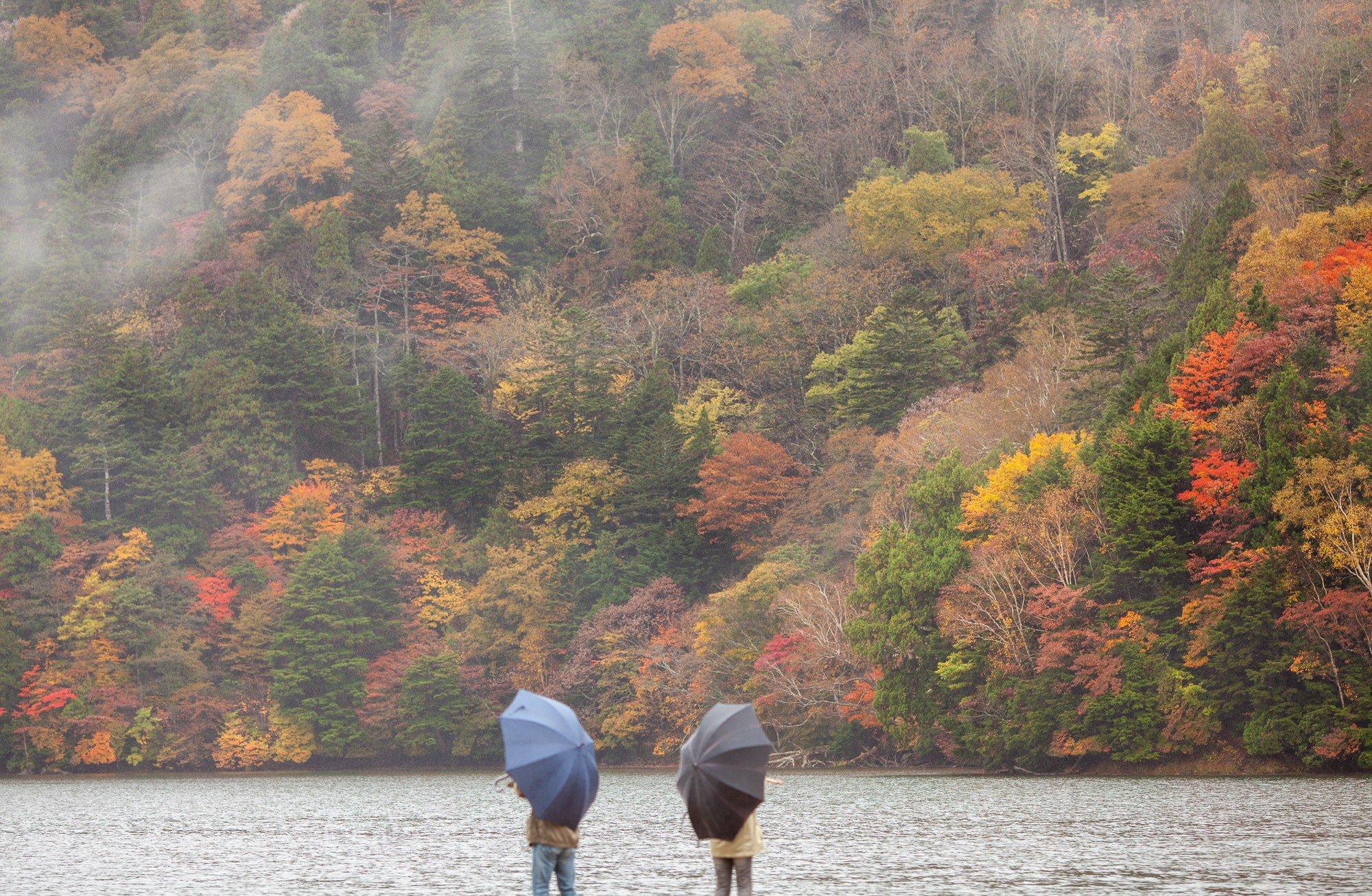 Fall in Japan, by lake Yunoko in Nikko