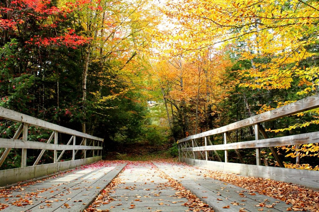 Family hikes in Lincoln New Hampshire, including a bridge over the Harvard River