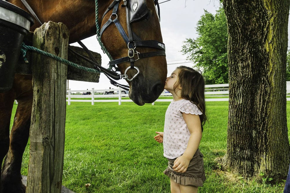 Relaxing Lancaster County farm stay