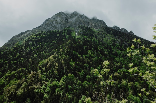 Influencer promoting tourism on social media