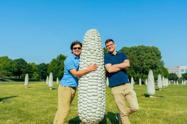 Field of Corn