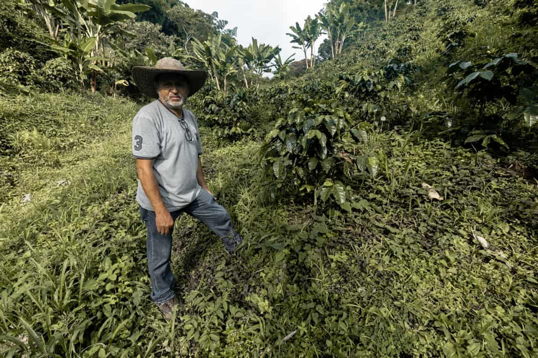 A coffee farmer in Filandia Colombia