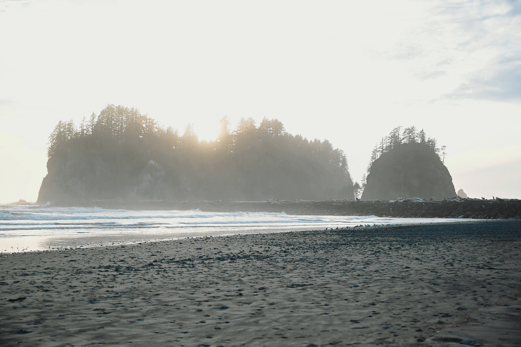 First Beach La Push Forks Washington