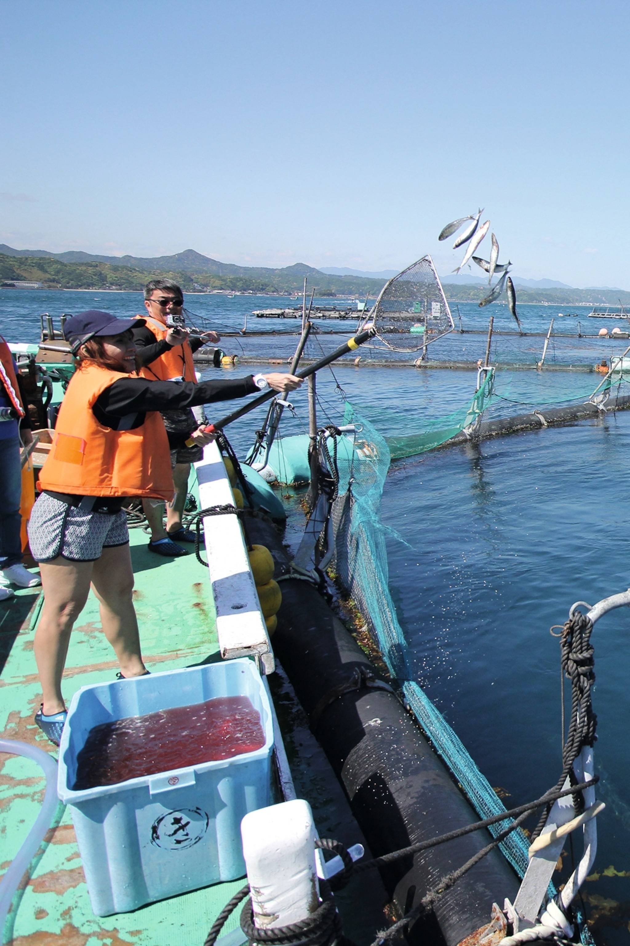 Fishing for Tuna in Kushimoto