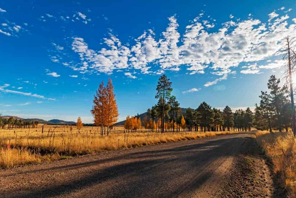 Flagstaff, Arizona Road showcasing autumn colors