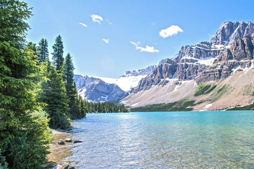 Serene alpine lake surrounded by lush forest