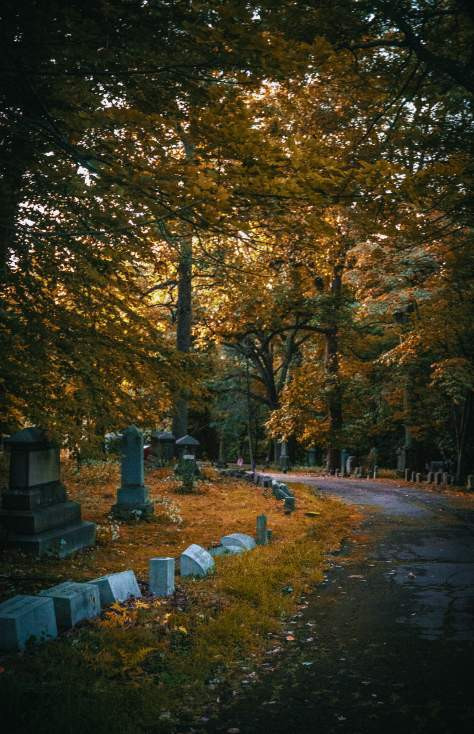 A verdant path in the Forest Hills Cemetery in Dunmore PA