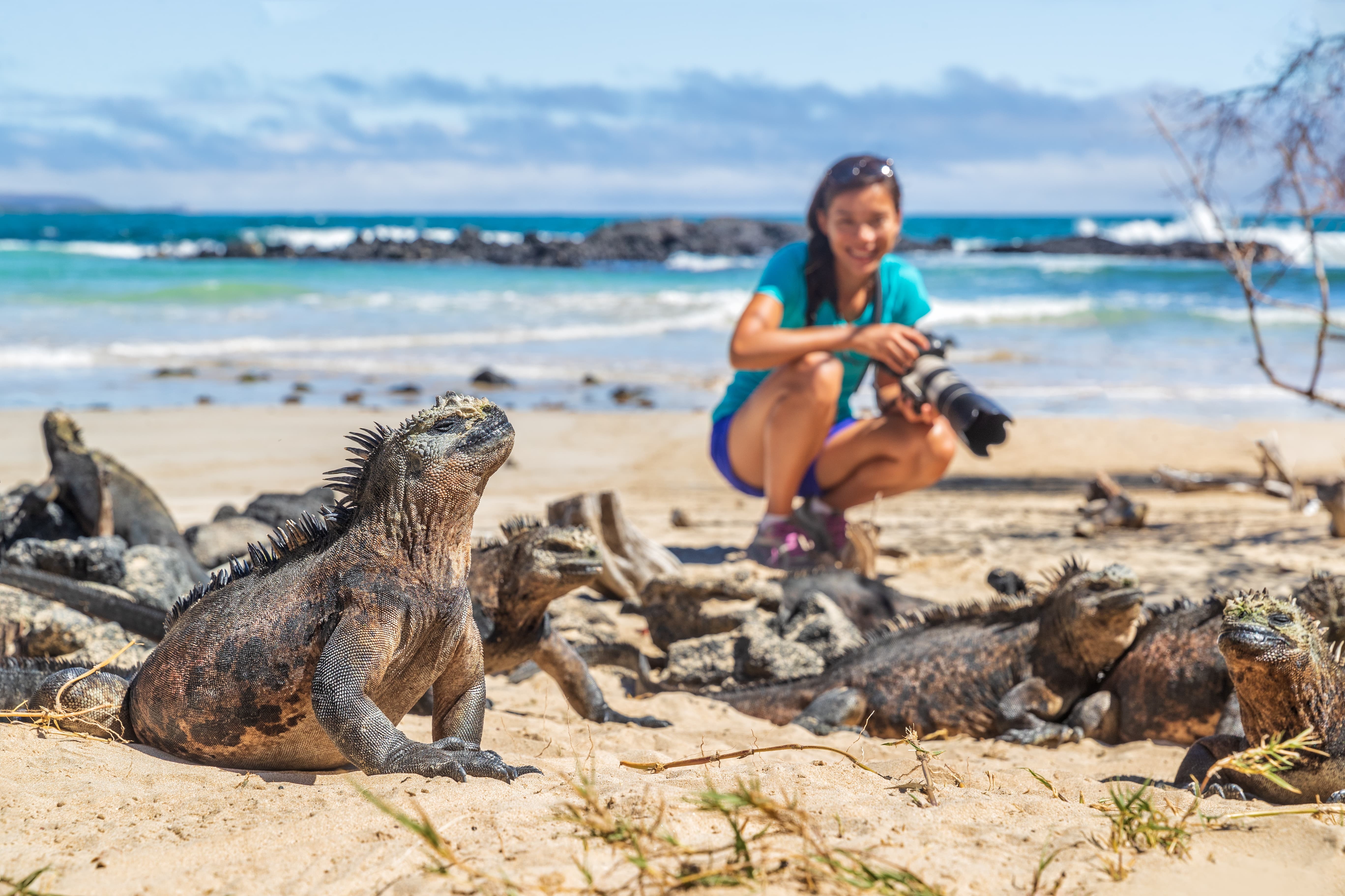 Eco Tourism at its finest