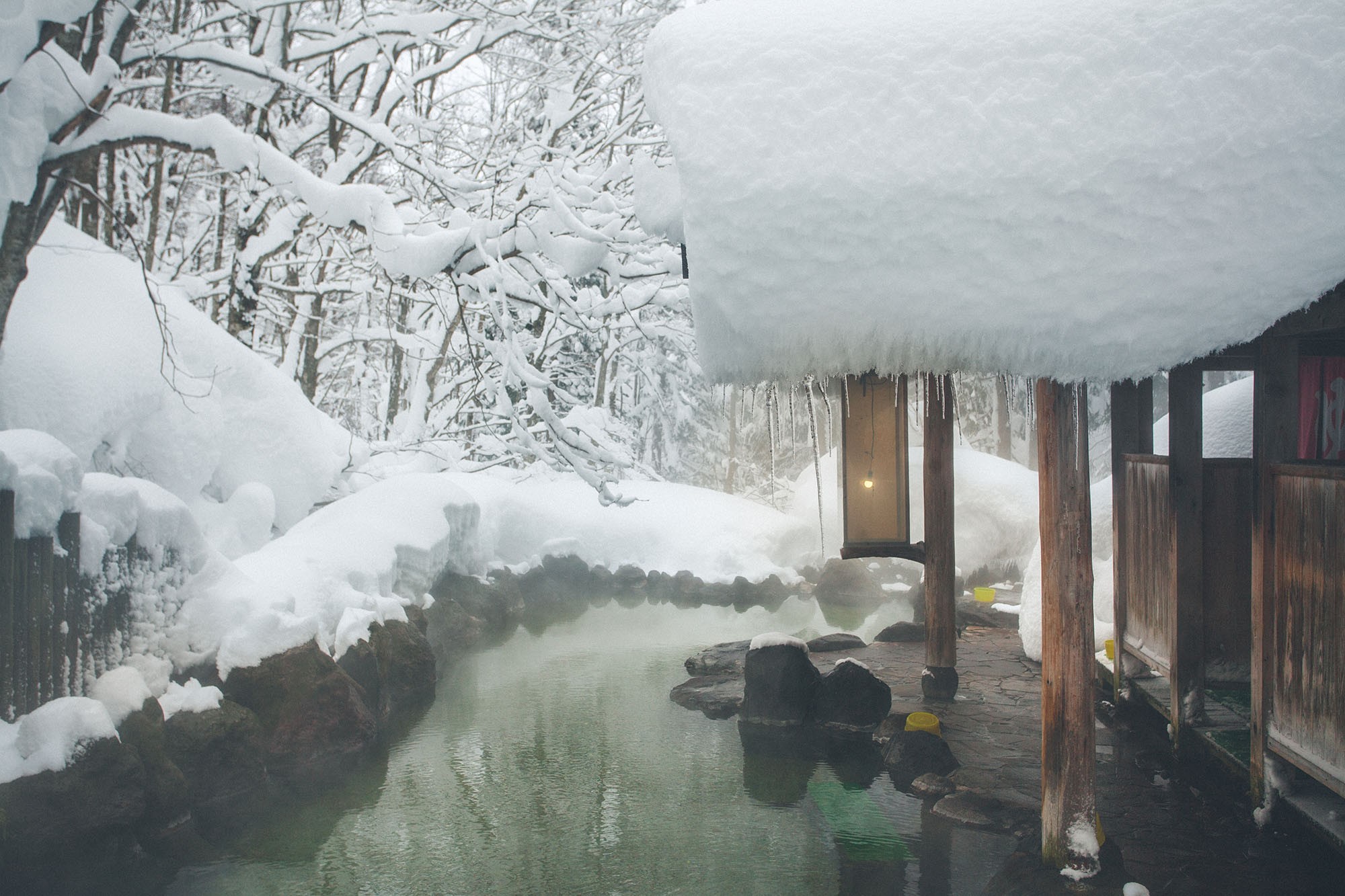 Snowy forest with onsen in Japan