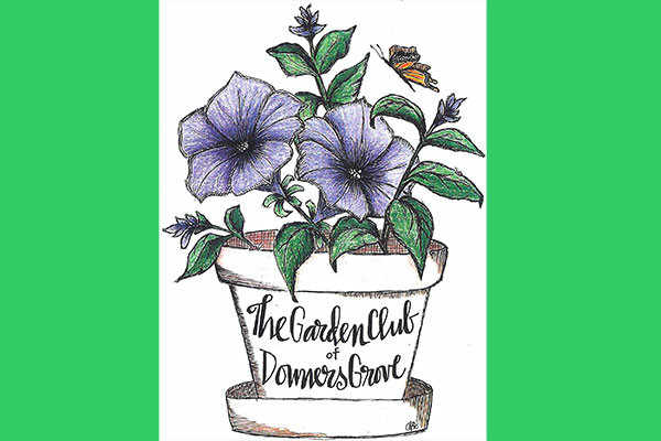 Decorative image