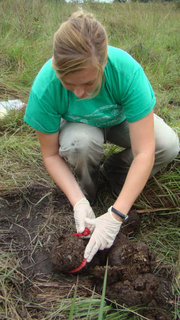 Wildlife biologist gathering data in the field