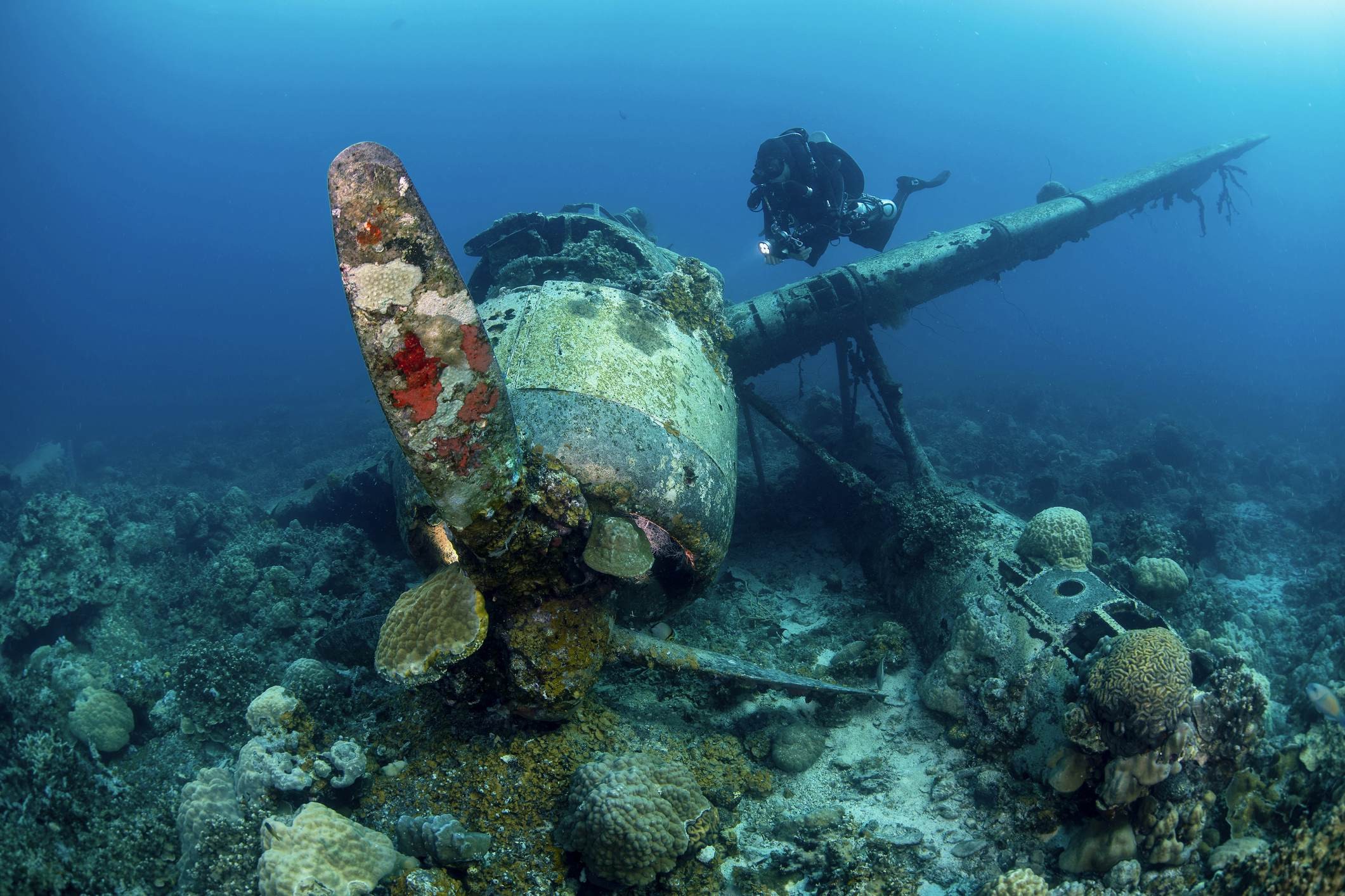 Divers explore a Japanese airplane wreck amidst coral and fish in Palau