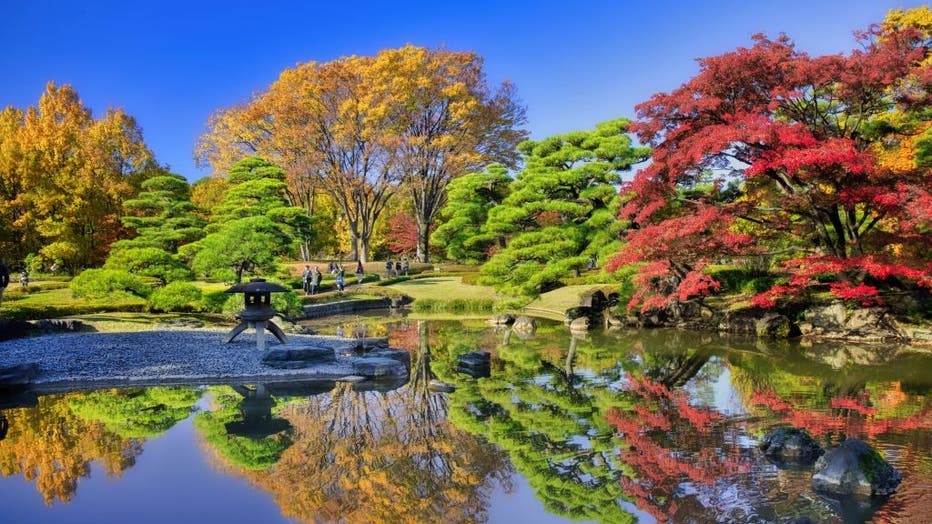 Imperial Palace Gardens in Tokyo