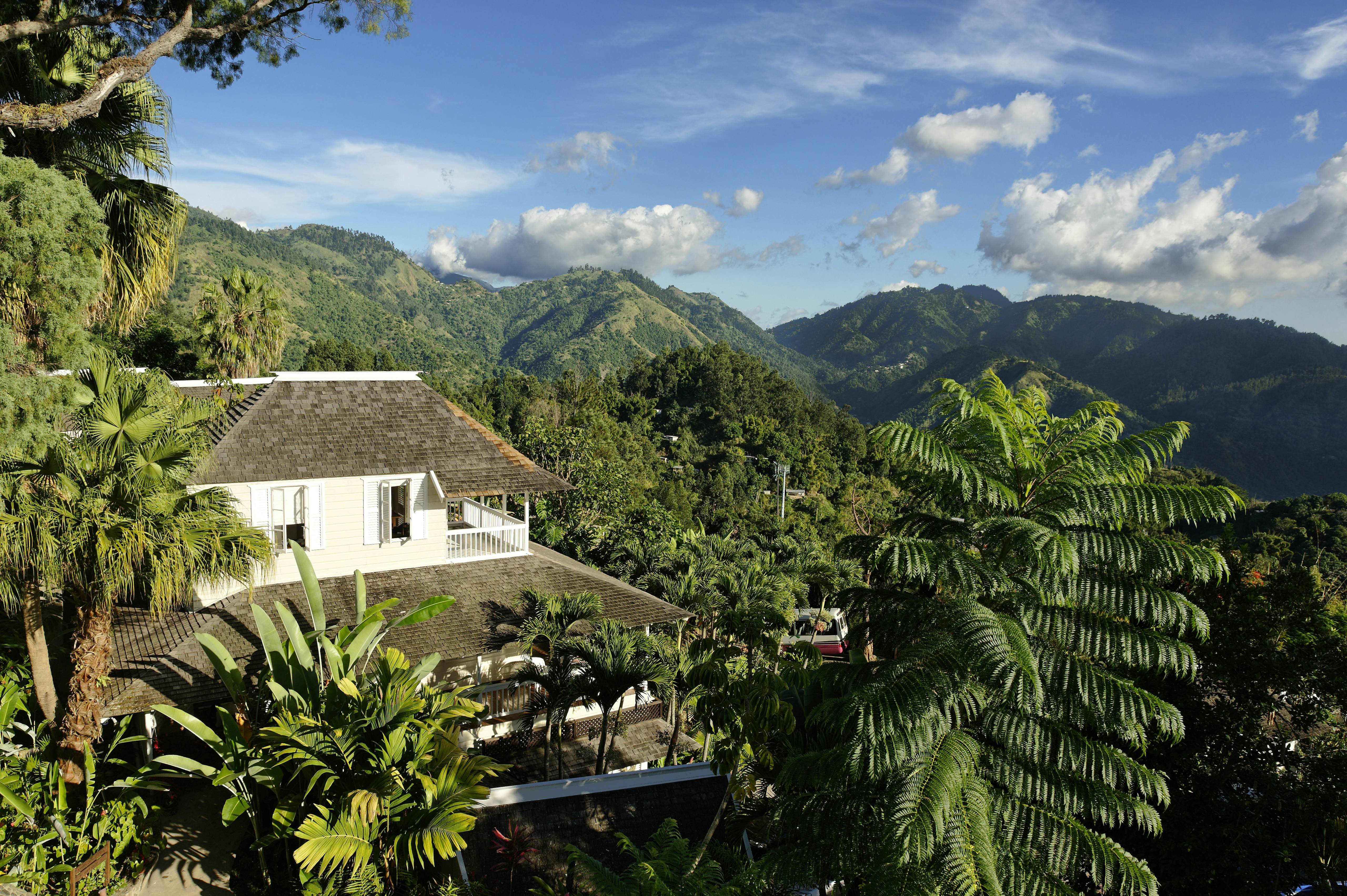 House surrounded by greenery