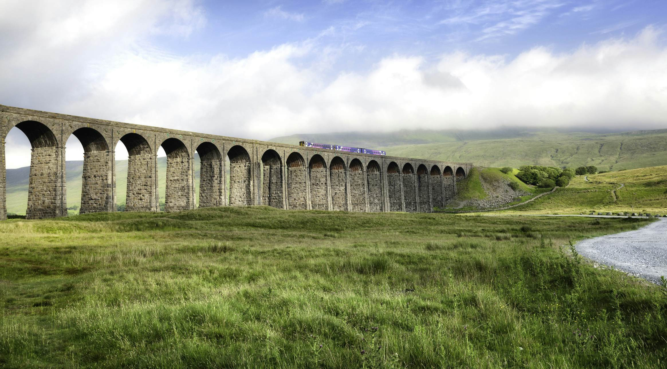 Train crossing a high stone viaduct above tall grass on a cloudy day.