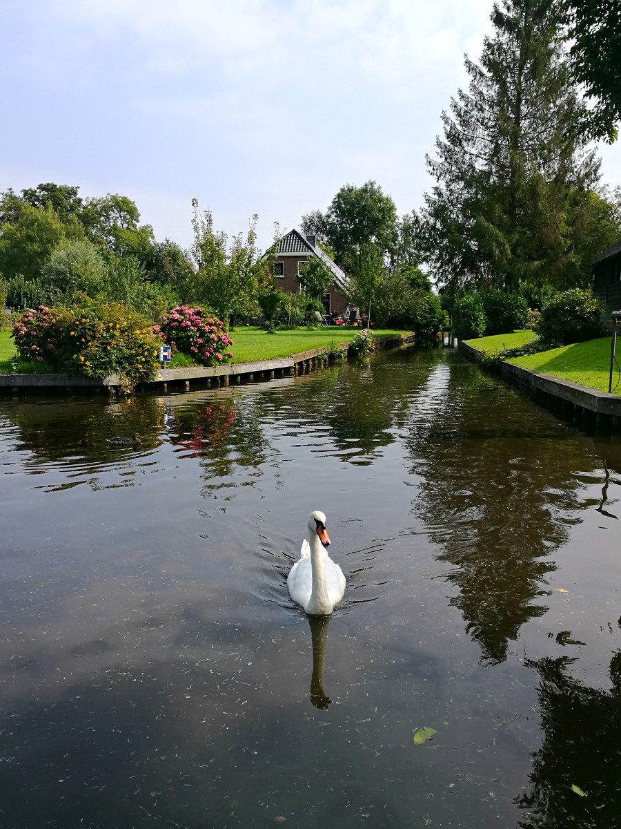 Giethoorn's beauty lies in its charming houses, flower-adorned bridges, and tranquil canals.