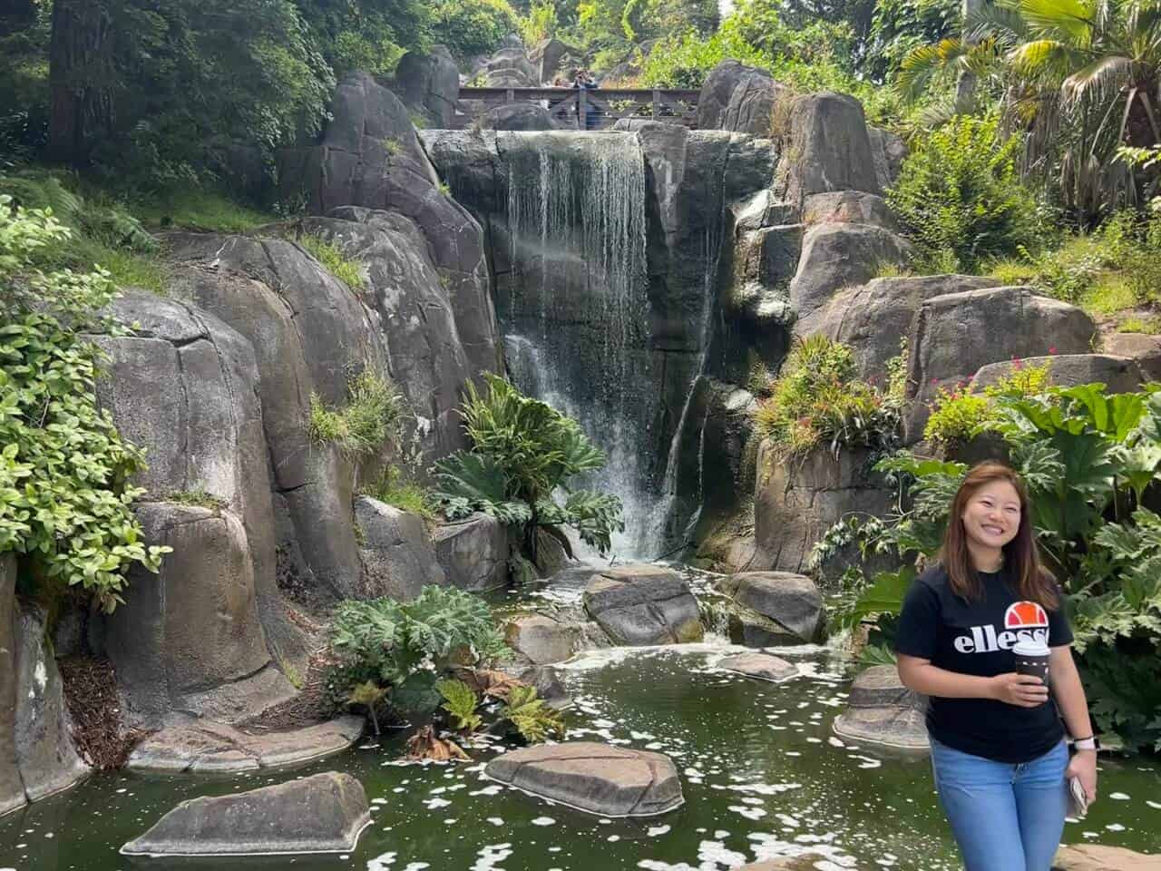 Golden Gate Park Waterfall