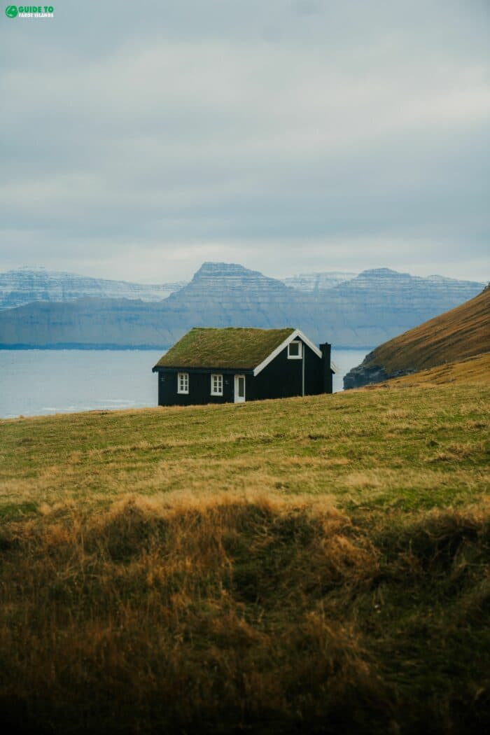 Grass roofed house