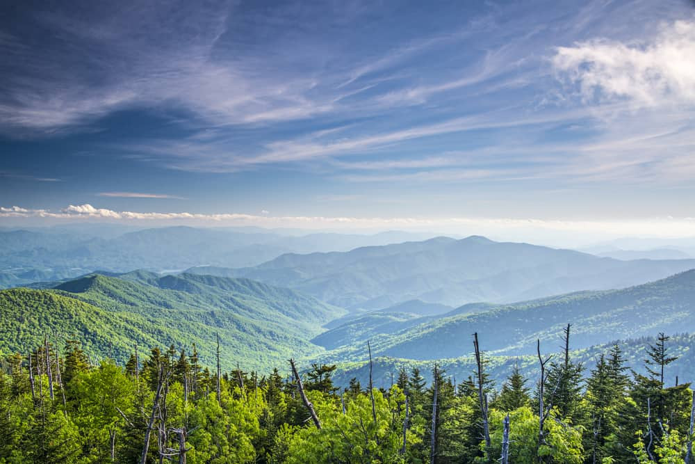 Great Smoky National Park summer landscapes and the forests