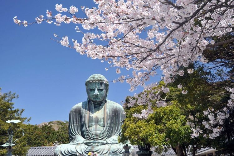 The Great Buddha of Kamakura, a large bronze statue surrounded by trees.