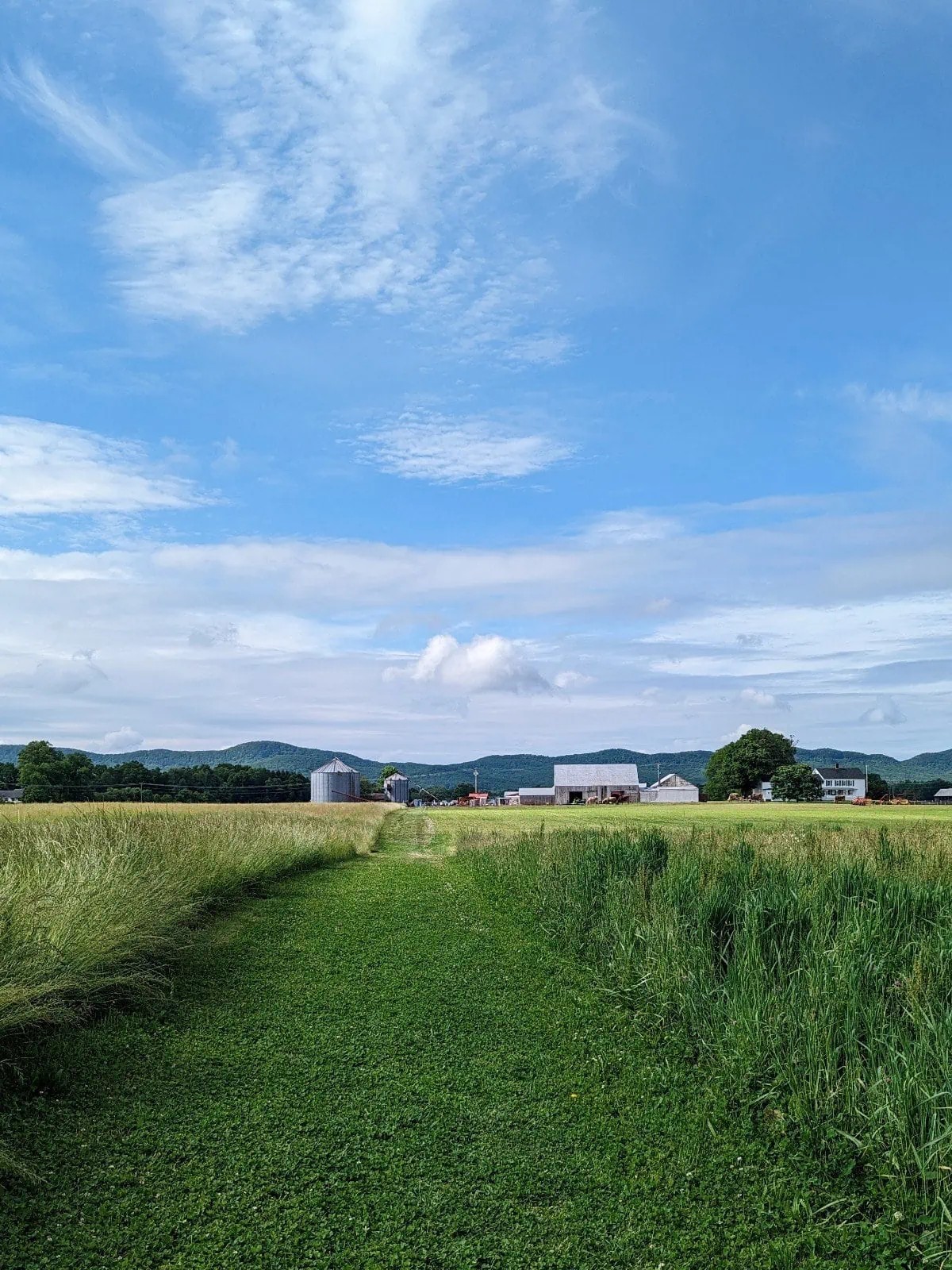 Beautiful farm field with silos and mountains in the background on a clear day