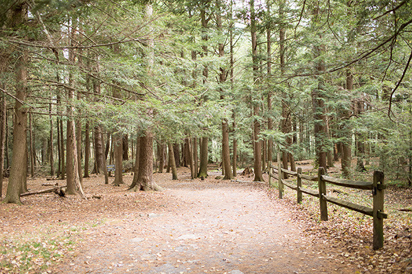 State Parks