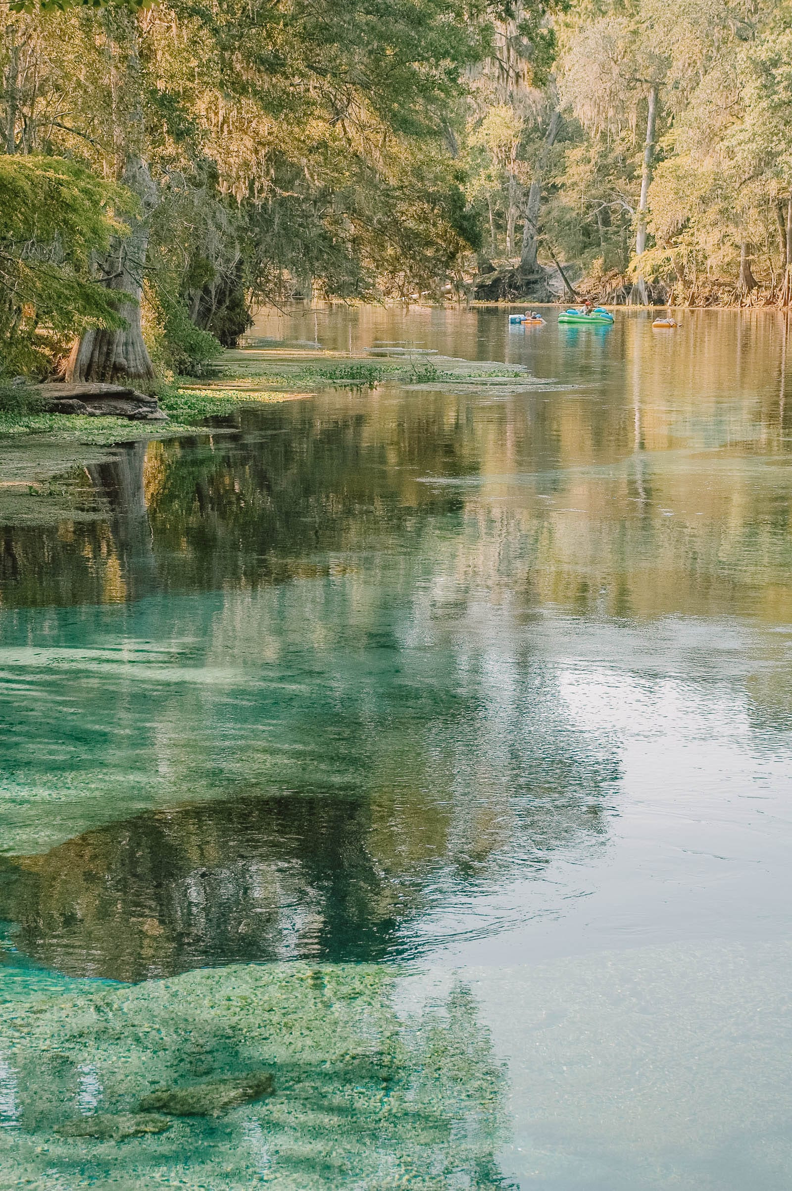 Best Places In Florida To Visit