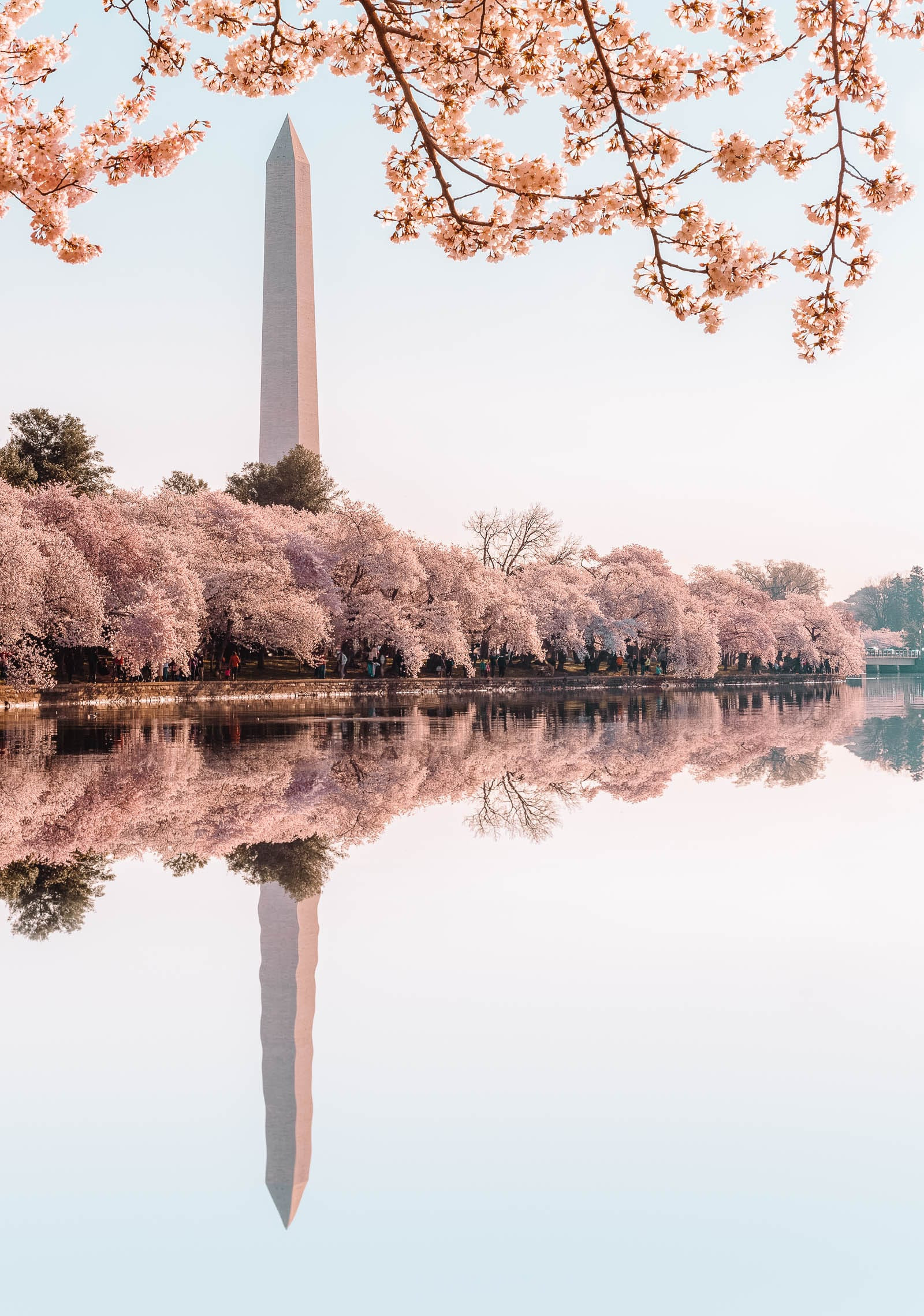 Tourists at the National Mall, Washington, D.C.