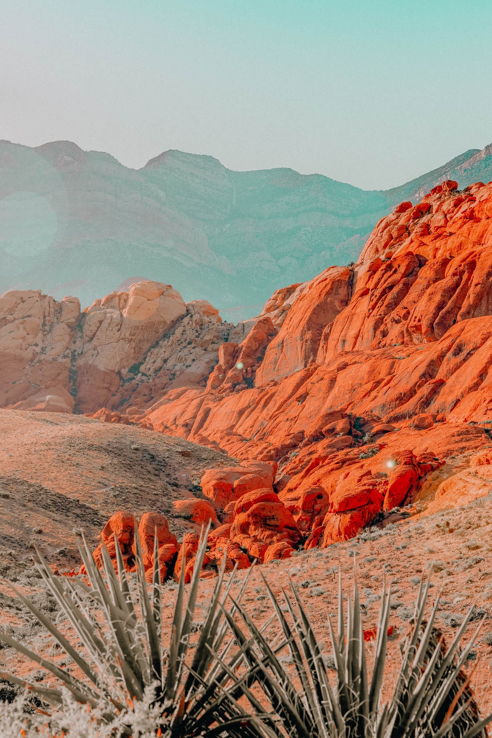 View of the Red Rock Canyon landscape